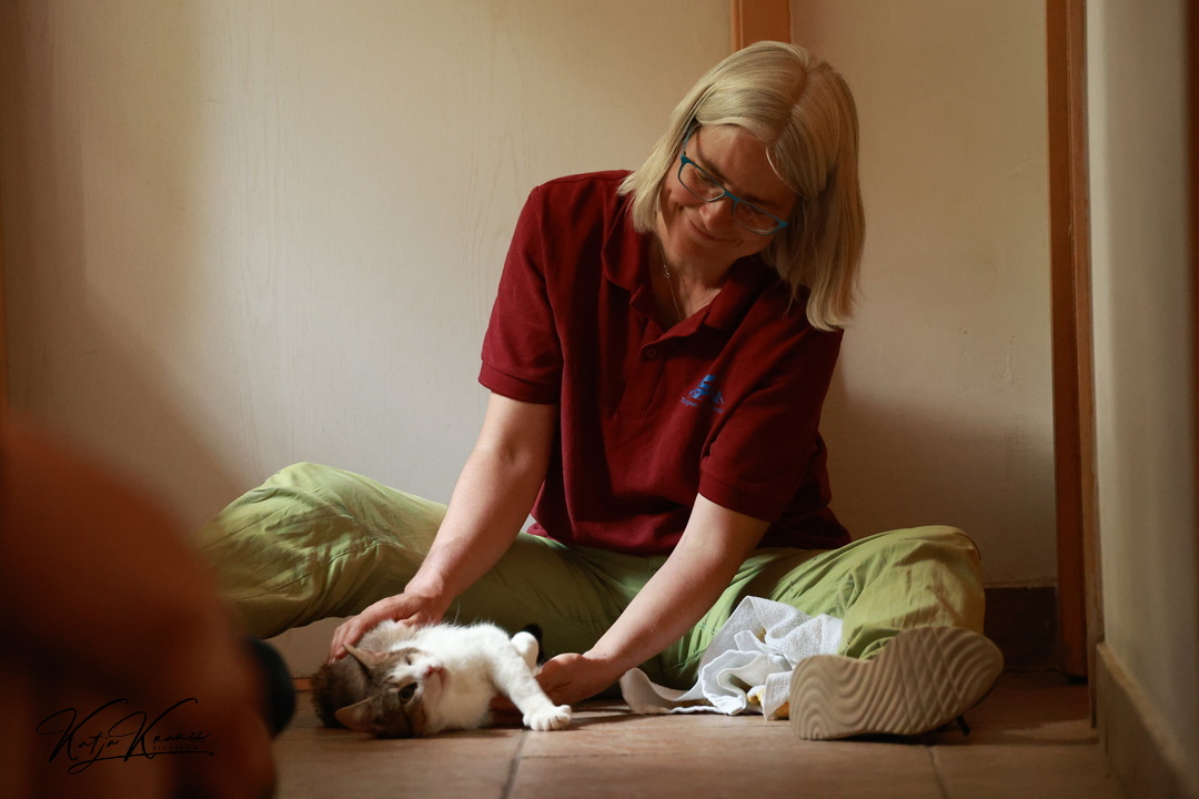 Dr. Zurr with shelter cat