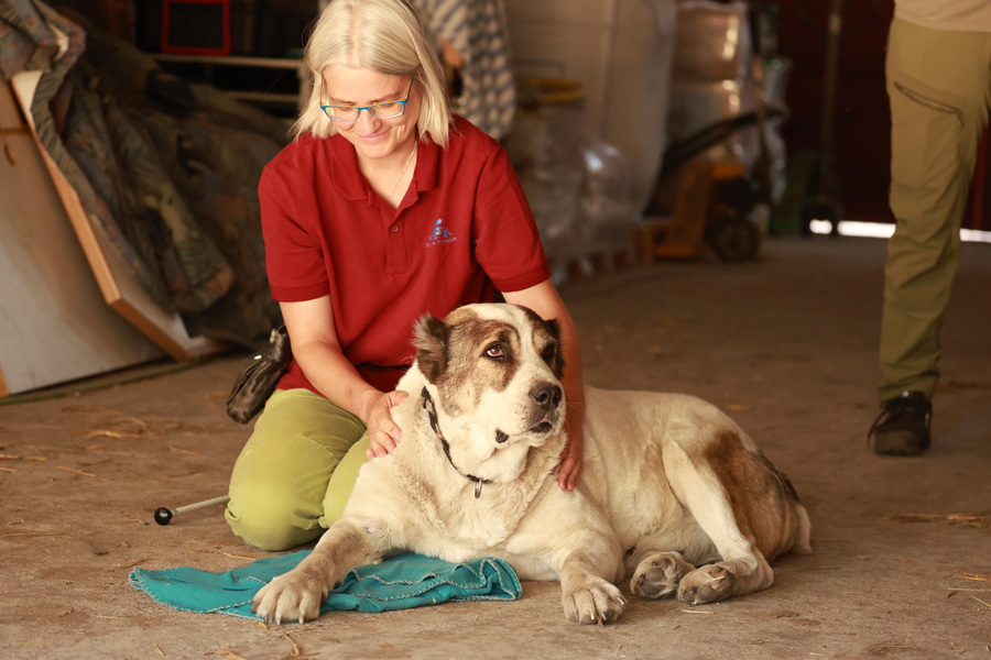 Dr. Daniela Zurr with shelter dog Mira